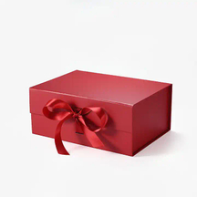 Presentation Box ပါ။